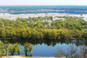 Розлив Десни, Новгород-Сіверський
